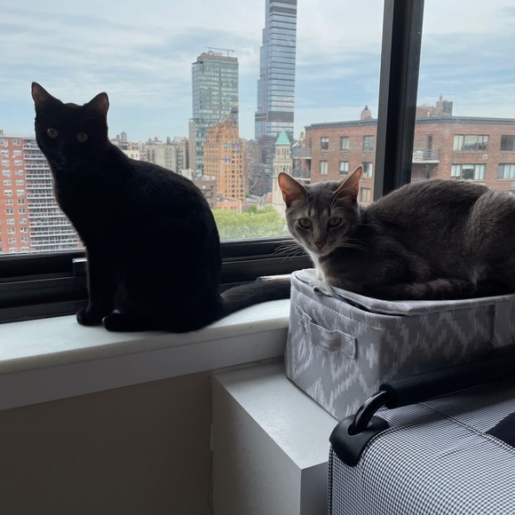 Hello Everyone!! 😊😊 - Picture 4 of 7